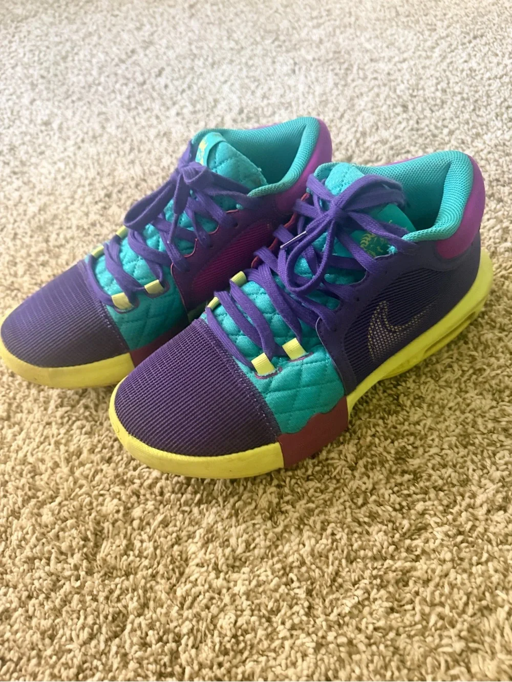 Nike LeBron Purple & Teal Basketball Shoes